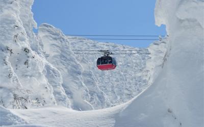 過年折3,000|東北２大樹冰纜車.最上川遊船.雪境列車.高山稻荷神社.夢幻水母館.全程溫泉.採果美食六日|青仙雙點進出