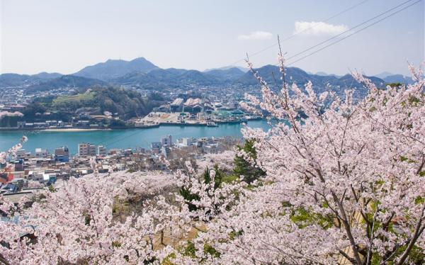 春櫻岡山四國｜名勝栗林公園.櫻百選松山城.金刀比羅宮.櫻花尾道千光寺.道後溫泉四日｜一晚溫泉｜回程贈五公斤行李｜高雄來回