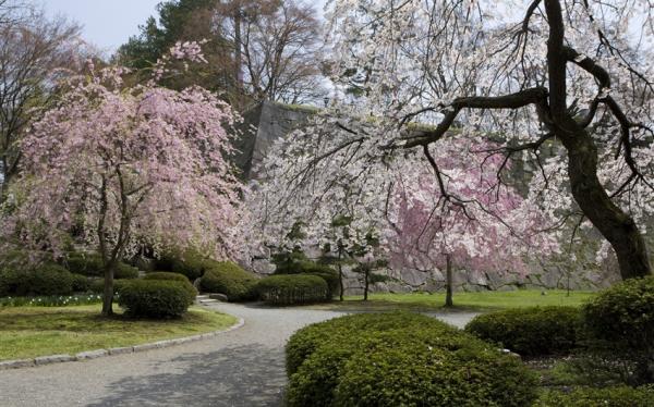 東北旅遊~直飛青森|櫻花名所~弘前公園.角館.盛岡城跡公園.嚴美溪.中尊寺.松島遊船.牛舌風味餐.溫泉五日