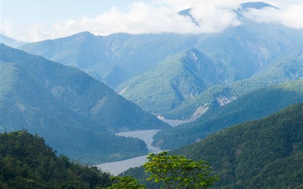 【台東旅遊．兩人成行】池上伯朗大道．山里教堂．二層坪水橋．戒治所咖啡1日