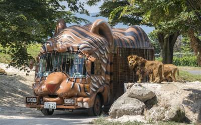 九州｜虎航｜自然野生動物園.叢林巴士.湯布院.萌熊電車.全新熊本城.雙溫泉五日｜高雄直飛