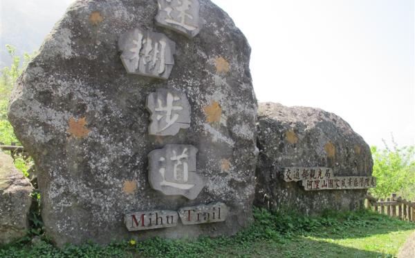 嘉義｜阿里山迷糊步道.奮起湖.香藝文化園區.金桔觀光農園.棒棒積木飯店二日｜高雄台南