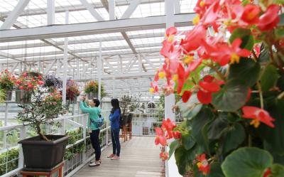 宜蘭旅遊｜景觀玻璃屋花園午餐．泰雅少女莎韻傳奇故事．蘇澳煙波冷熱泉2日