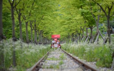 參團免小費｜首爾旅遊｜入住露營車乙晚.南怡島美境.絕美LED極光道.必逛明洞.黑白大廚(兩站購物)五日