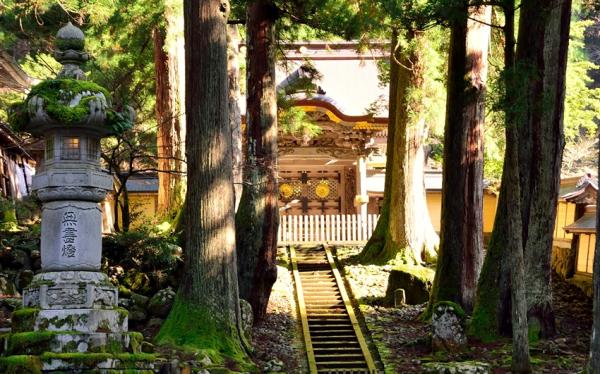 聰明玩北陸｜夢幻合掌村.玉兔之里.松本城.兼六園.永平寺.溫泉.OUTLET六日｜升等甜蝦吃到飽