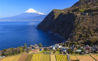 日本伊豆半島風情遊~東京、伊東、稻取、修善寺、堂島、三島6日