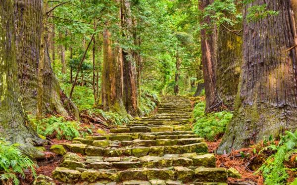 關西南紀旅遊｜熊野古道.那智大社.那智瀑布.鬼之城.太地町立鯨魚博物館.伊勢神宮.海女小屋五日｜高雄來回