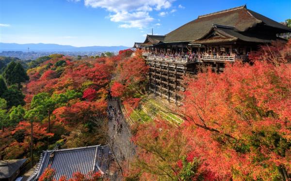 關西旅遊｜《漫遊古都》京都塔維諾斯酒店6天5夜自由行★樂桃航空★含稅．含20公斤行李｜高雄出發