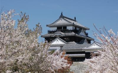 春櫻四國｜賞櫻名所～栗林公園.頓田川河堤畔櫻花.小豆島橄欖公園.採草莓五日｜台中出發