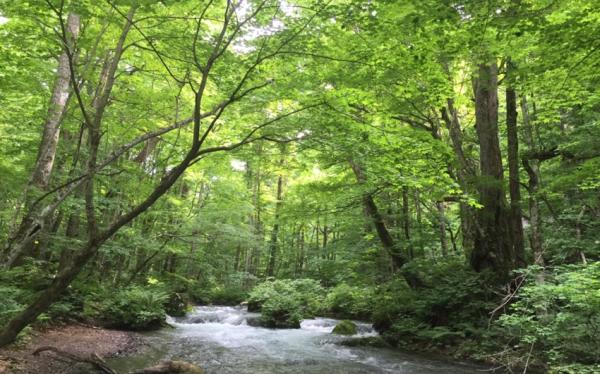 東北好享吃｜郭公糰子.魚板.溫泉饅頭.藏王御釜.陸奧海濱公園.松島.中尊寺.嚴美溪.購物.溫泉五日【花仙.花花】