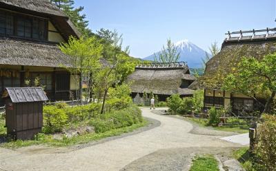 客製｜東京一晚星野.河口湖.根場合掌村.淺間神社迷你小團五日【專屬包車】天天出發※不含機票