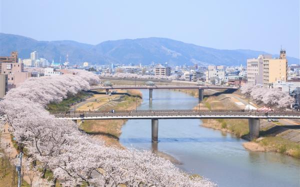 清明連休~北陸旅遊｜5大賞櫻名所~兼六園.丸岡城.松川賞櫻船.足羽川櫻花隧道.新穗高纜車.合掌村.甜蝦吃到飽五日｜不進店