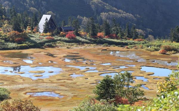 《主題旅遊》日本百名山～妙高山、火打山、上高地6日(含小費)