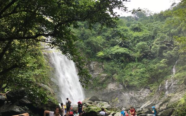 屏東旅行｜38女王節｜重新開放涼山瀑布步道．潮州粉嫩花旗木1日｜大人囝仔｜高雄出發