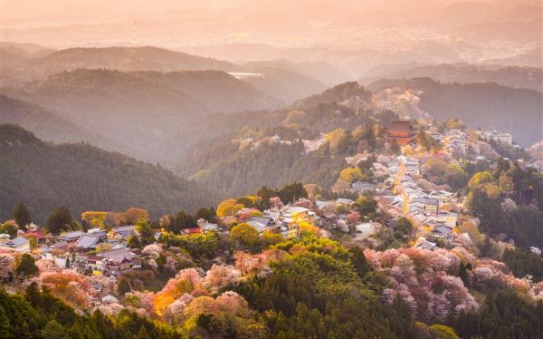 客製｜關西千本櫻~名所吉野山.造幣局.平野神社迷你小團五日【專屬包車】(天天出發)※不含機票