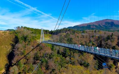 一起揪吧九州｜保住別府灣和藏.熊本城.九重夢吊橋.南阿蘇鐵道.兩晚溫泉五日|升等長腳蟹吃到飽