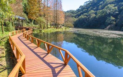 宜蘭旅遊｜早鳥-300．限額福山植物園．太平山森林蹦蹦小火車．原始林步道．日系北后寺．礁溪長榮生態2日｜大人囝仔