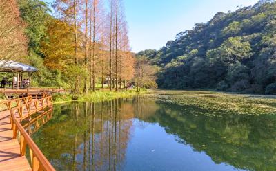 宜蘭旅遊｜浪漫甜點午茶列車－海風號｜動植物秘境天堂『福山植物園』.礁溪晶泉丰旅二日｜好享住奢華｜台中出發