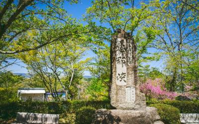 春櫻北陸｜櫻百選之所.鬱金香.最大級彩燈~名花之里.惠那峽遊船.金箔冰五日｜雙溫泉