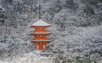 迎春折2000｜大阪旅行｜環球影城瑪利歐.奈良東大寺.抺茶體驗.清水寺.戲雪草莓螃蟹六日｜環球影城旁飯店｜高雄來回