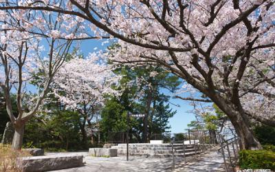 九州｜春櫻名所｜金麟湖~湯布院.宇佐神宮.黑川溫泉.和牛燒肉吃到飽.太宰府~旅人列車.溫泉五日|高雄直飛