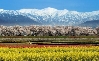 限量入住白川鄉一晚・結之庄～立山黑部雪牆｜千年臥龍櫻.春日四重奏.合掌村.兼六園.A5飛驒牛.雙溫泉.萬怡五日｜四晚保住