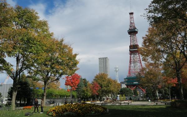 【主題旅遊】2025日本北海道馬拉松5日(奧運賽道、小樽運河、富田農場賞花)