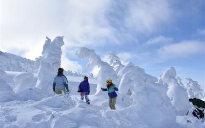 季節限定~限量銷售|東北藏王樹冰~雪怪車.銀山溫泉街.合掌村大內宿.藏王狐狸村.溫泉五日