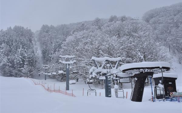 《春節預購》FUN_SKI滑雪趣_王子集團直營！東北三大雫石滑雪5日遊