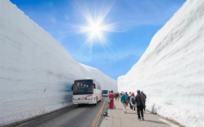 松阪雙城一日自由活動～立山雪牆奇景6日｜世界遺產～京都平等院.東大寺餵鹿.兼六園.大阪通天閣.teamLab夜間藝術光影