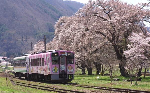 東北旅遊|百選賞櫻名所~會津若松城.會津鐵道.置賜回廊.三春瀧櫻.合掌村.東光酒藏.米澤牛餐.展望露天之湯有馬館溫泉五日