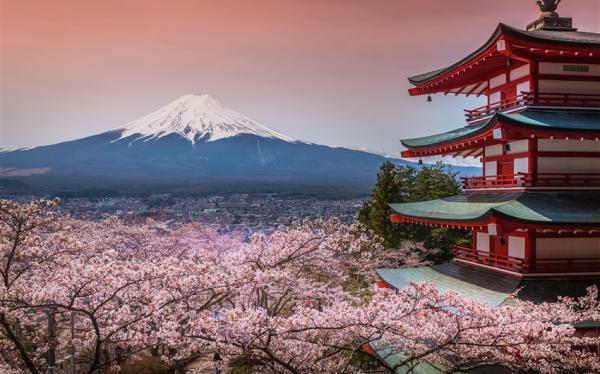 春櫻東京旅遊｜東京迪士尼.賞櫻百選.新倉淺間神社.淺草隅田川.三溪園.天晴號.橫濱纜車.和牛螃蟹美食五日