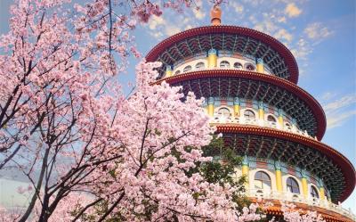 新北旅遊｜大人囝仔｜竹林山觀音寺參拜賞櫻、淡水天元宮賞櫻、奇觀貝殼廟、牛港稜步道二日遊｜高雄台南嘉義出發