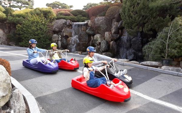 暑假玩首爾｜FUN心玩愛寶樂園．Luge渠道滑車．網美朝聖咖啡廳．絕美LED極光道．鳥語花香(二站護肝彩妝)五日｜高雄