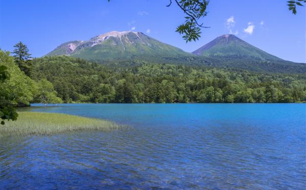 玩樂369北海道旅遊｜阿寒湖燈光秀.薰衣草DIY.古趣農車遊花田.夢幻真鍋庭園.三大蟹哈密瓜美食五日｜保住三晚溫泉