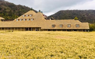 雙城關西北陸旅遊｜立山雪牆｜童話合掌村.上高地.兼六園.花艷粉紫~平等院紫藤花.LaCollina甜點.DIY金箔六日