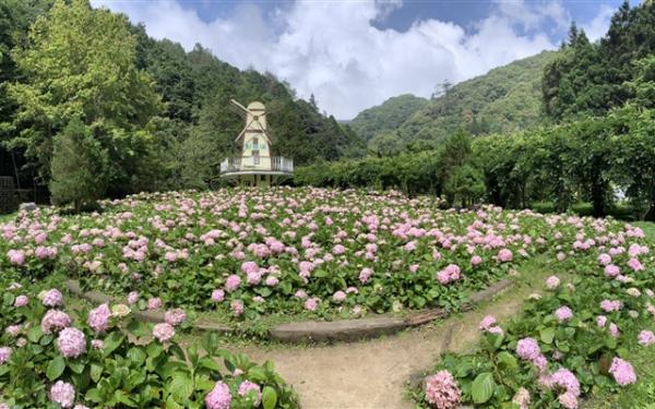 南投旅遊｜杉林溪森林遊樂區～四季花季.採果樂..杉林溪主題會館1泊2食二日｜高雄台南出發