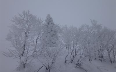 聰明玩花卷｜日本三大樹冰奇景～森吉山樹冰.松島灣美景.琉璃之眼～田澤湖.日本金賞NO.1～朝開酒造.溫泉5日