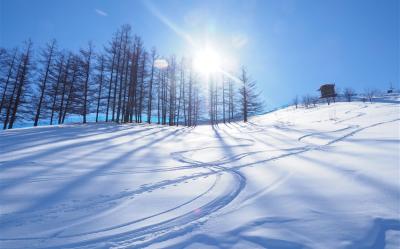 【主題旅遊】FUN_SKI滑雪趣．青森之泉滑雪5日遊(青森進出)