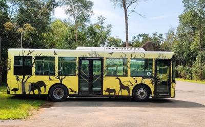 越南旅遊｜富國島.Safari野生動物園.珍珠樂園.跨海纜車.地中海小鎮浪漫親吻橋五日｜全程五星飯店.台中出發