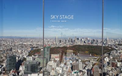 夢幻東京旅遊｜東京迪士尼雙樂園.涉谷SKY展望台.大石公園.東山舊岸邸.溫泉精選五日