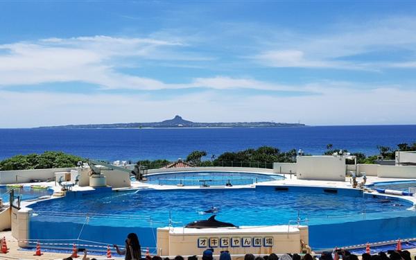 沖繩旅遊｜美麗海水族館~海豚秀.系滿魚市場.北谷町美國村.一日自由活動四日｜台中出發