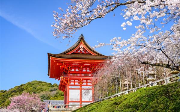 春櫻大阪旅遊｜特選團｜日本環球影城瑪利歐.醍醐寺.哲學之道.紀三井寺.黑潮市場五日｜螃蟹吃到飽｜高雄來回