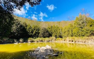 高雄旅遊｜四人成行｜南橫風華再現.天池秘境.埡口雲海1日｜高雄出發（九人座商務車）