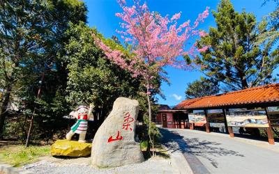 第二人折500｜台中宜蘭旅遊｜高山農場~武陵/福壽山戀夏避暑賞花趣.棲蘭森呼吸.三星拔蔥趣.梅花湖.梨山賓館三日