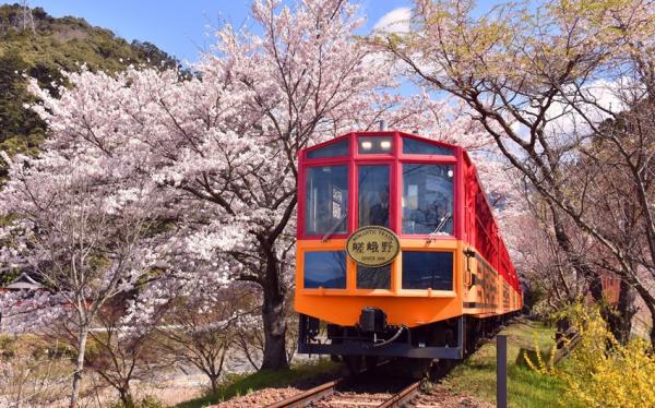 大阪旅遊｜春櫻京阪奈~日本環球影城瑪利歐.嵐山小火車.哲學之道.和服體驗五日｜環球旁飯店｜高雄來回