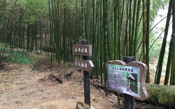 嘉雲旅遊｜櫻花祭｜秘境寒溪呢森林人文叡地.台版小京都嵐山竹林一日｜中部出發