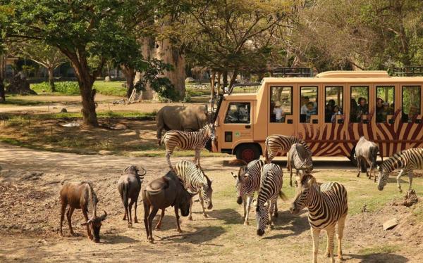 峇里島｜同樂峇里、SAFARI動物園、山林秘境、獨棟泳池VILLA(兩人成行)