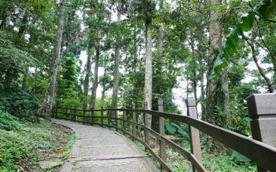 北桃旅遊｜百大亮點｜慈湖紀念公園.東眼山國家森林區.福華渡假飯店晚餐二日｜中部出發