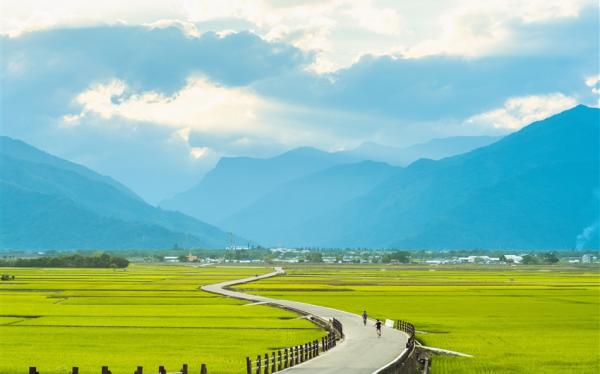 鐵道旅遊｜金城武伯朗大道×池上單車.櫻木花道平交道.華源海灣觀景.縱谷兩日｜兩人成行.台北高雄出發